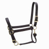 Licol réglable Premium Shires Arma - Noir