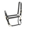 Licol réglable Premium Shires Arma - Gris