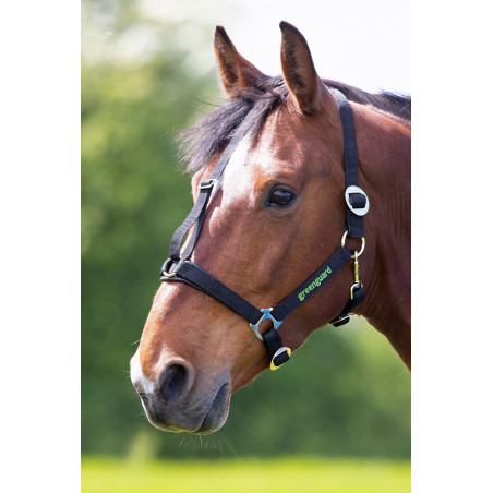 Licol Shires Greenguard