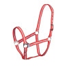 Licol Shires Wessex - Rouge / argent