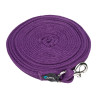 Longe de travail en sangle matelassée Shires - Prune