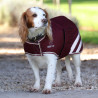 Manteau imperméable pour chien Shires Digby & Fox - Bordeaux