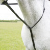 Shires Velociti Gara vaste martingaal - Zwart