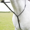 Shires Velociti Gara vaste martingaal - Bruin