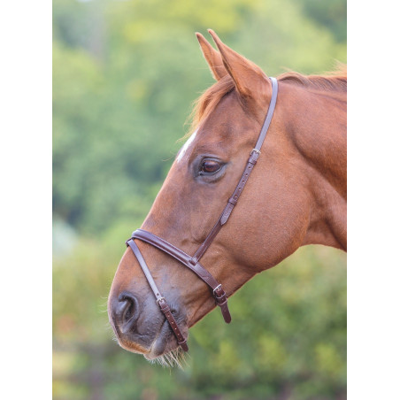 Muserolle française flash Shires Velociti Gara