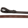 Teugels Pulse Grip Shires Velociti Gara - Bruin