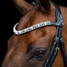 Frontal Imperial Riding Slim - Noir / argent