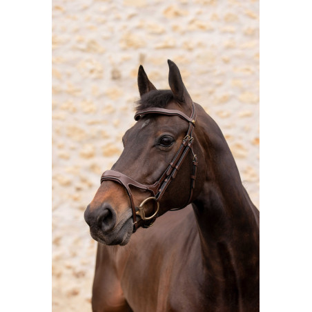 Hoofdstel K van EQUITHÈME - K-KADENCE