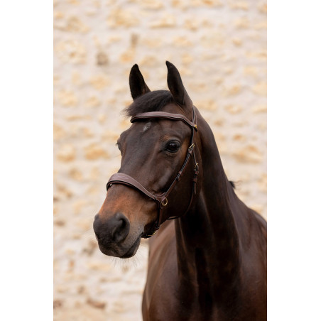 Bridon K by Equithème K-Konnect