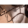 Flèche de martingale K by Equithème K-Kontour - Marron