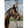 Halster + touw Equithème Coco - Marine