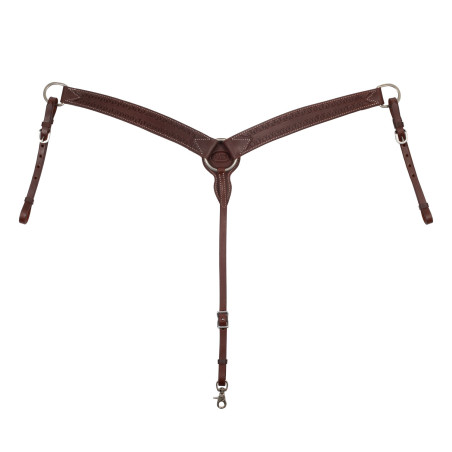 Leren western borsttuig