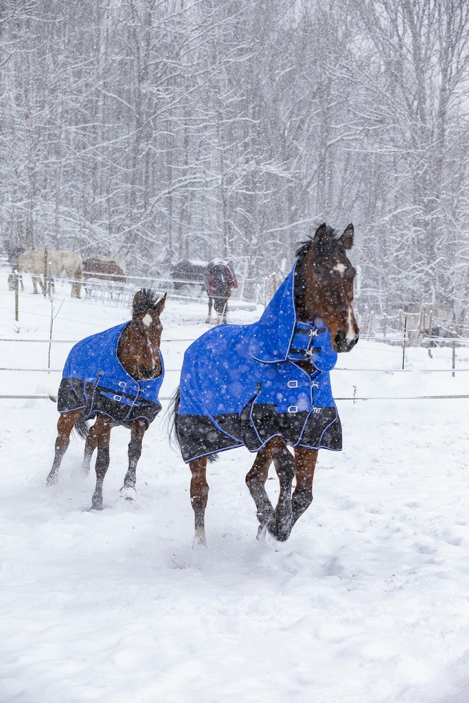 Couverture Equi-Theme Tyrex 1200D Aisance High Neck Bleu / noir