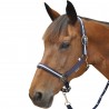Set halster in nylon/lurex + Canter-leidraad - Marine / zilver