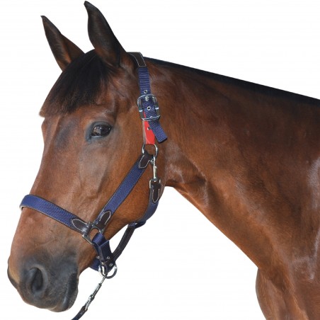 Veiligheidshalster Flags & Cup