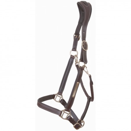 Licol Cuir Avec Plaque Tetiere Anatomique T de T