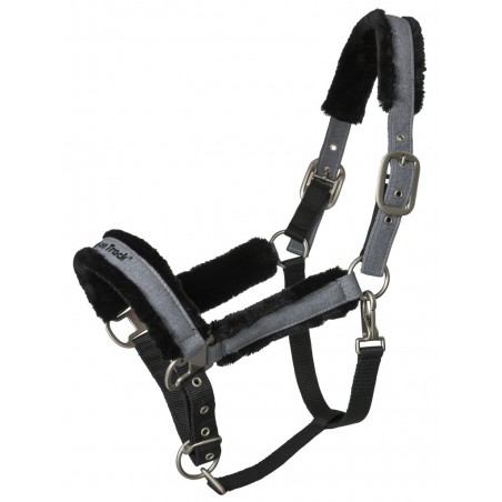 Halster Back on Track Haze Collection