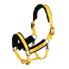 Licol Equestro en polypropylène avec rembourrage en mouton synthétique - Jaune