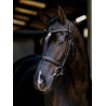 Arika Cavesson Bridle LeMieux - Zwart / zilver