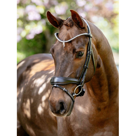 Bridon de dressage anatomique Kudos LeMieux