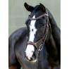 Bridon Kudos Sport LeMieux - Havane / laiton