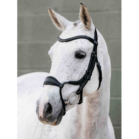 Bridon muserolle Adjustable Anatomic Arika noir/argent LeMieux