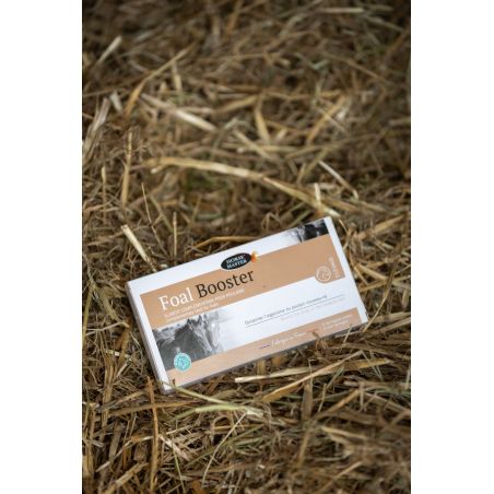 Foal Booster Horse Master par 4