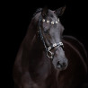 Bridon HV Polo Chaya - Noir / doré