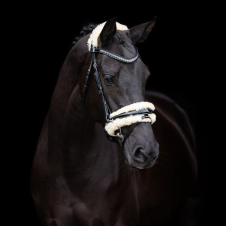 Bridon HV Polo Kate