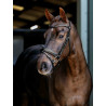 Bridon de dressage Arika LeMieux - Noir / argent