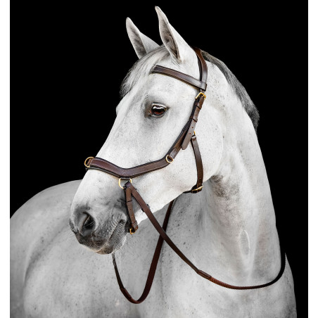 Bridon Horseware Micklem® Multi
