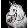 Bridon Horseware Micklem® Multi - Noir