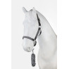 Ensemble licol et longe Chicago Horze - Black oyster