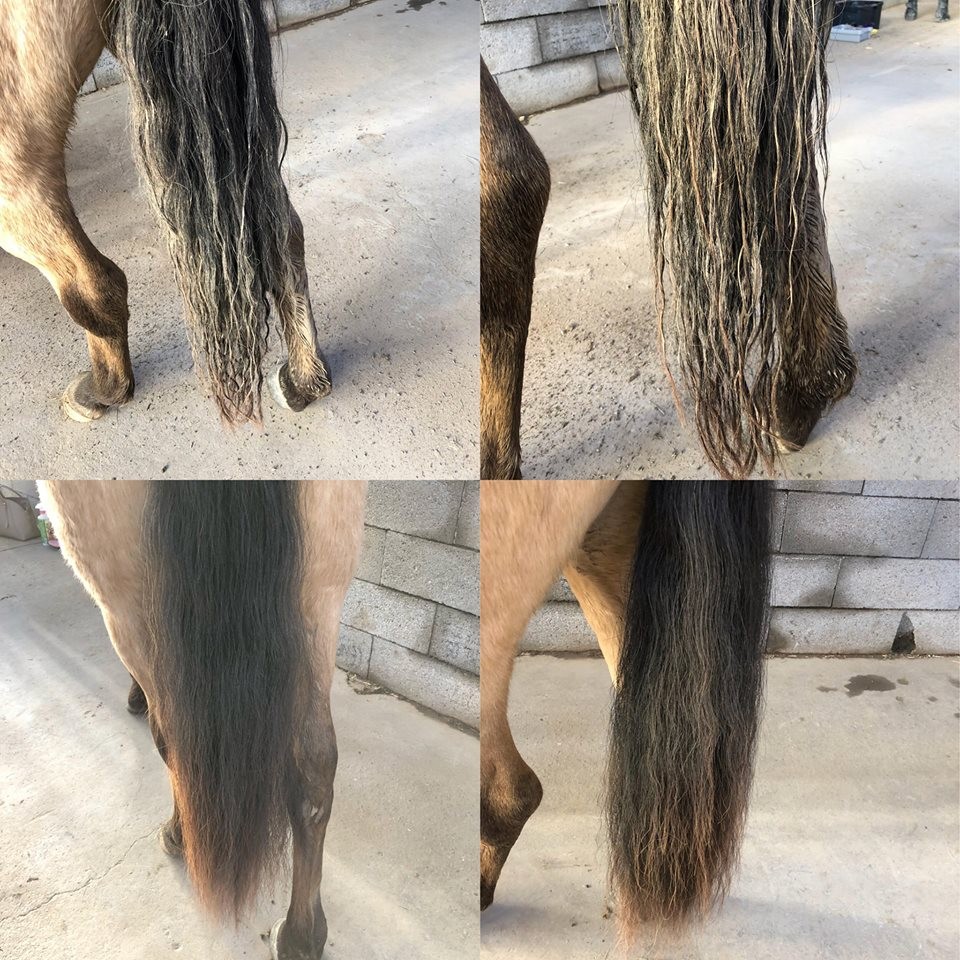 Glansspray voor paardenvacht - Easy Shine Ravene