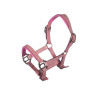 Licol en cuir Pink Hobby Horsing HKM - Rose