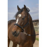 Halster Equithème Nylon Strass - Roze