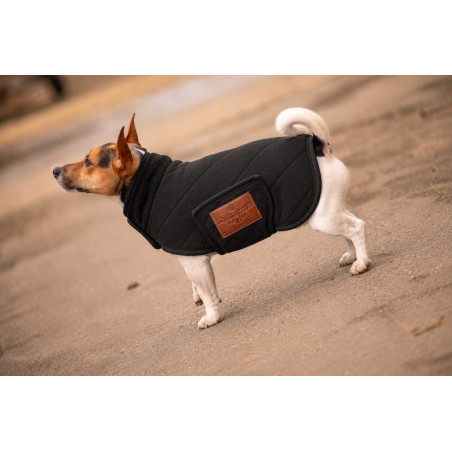 Couverture pour chien polaire Diagonal Paddock
