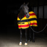 Fleecedeken Imperial Riding Stripe - Goud