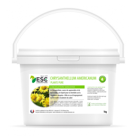 Chrysantellum Americanum ESC Laboratorium