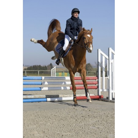 Pro Series Transition-jas