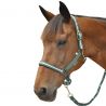 Set halster in nylon/lurex + Canter-leidraad - Grijsgroen