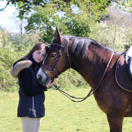 Hoofdstel Flags & Cup Comfort gecombineerd