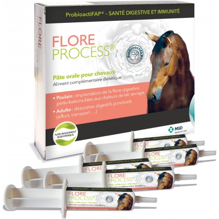 Flore Process M.S.D.