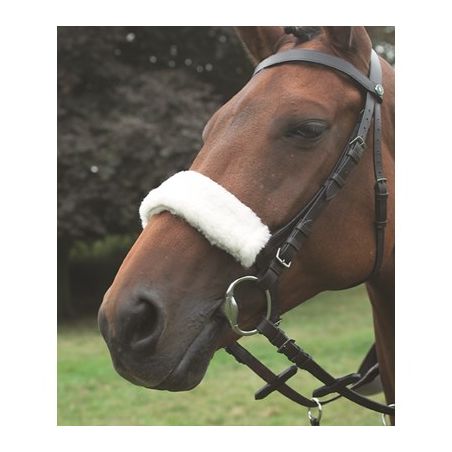 Fourreau de muserolle Acrilan Shires