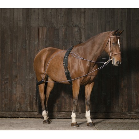 Enrênement à poulies Norton