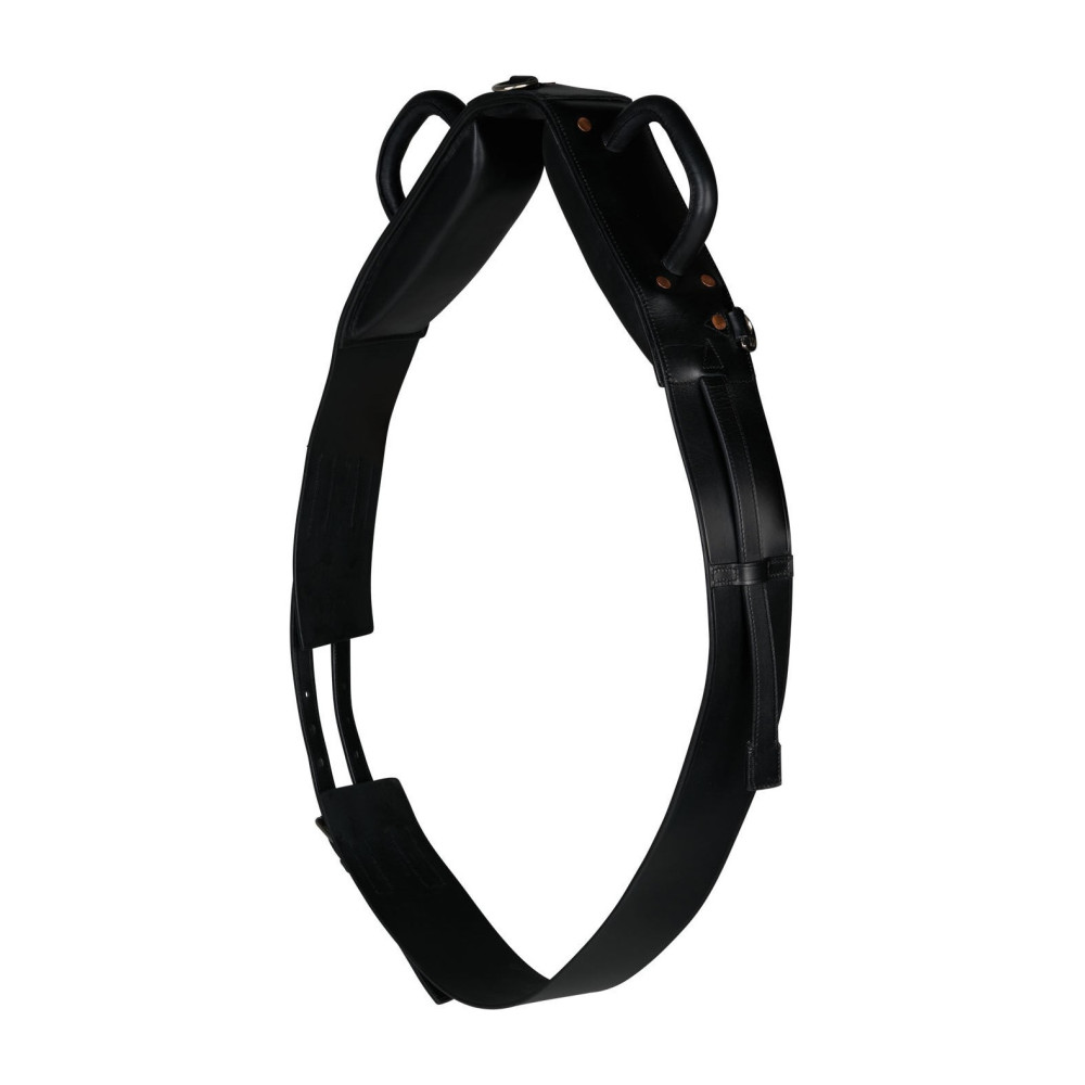 Surfaix En Nylon Pour Cheval – Réglable, Anneaux Multiples, Travail à Pied Et Longe