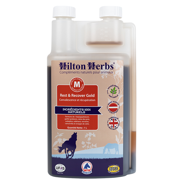Rest & Recover Hilton Herbs