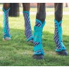 Guêtres anti mouches Arma Zeb-Tech Shires - Bleu sarcelle
