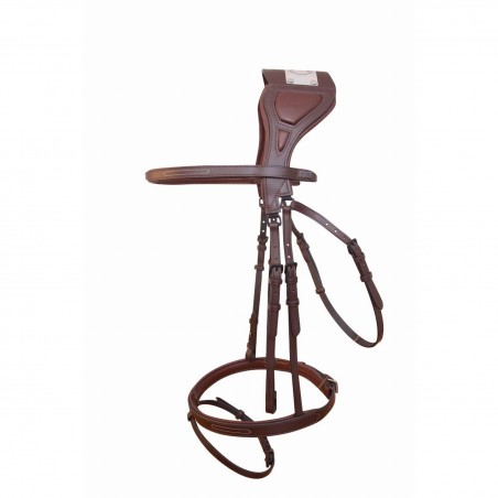 Bridon à pont Chagall T de T