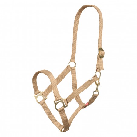 Halster Imperial Riding Economic